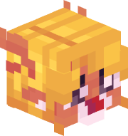 coreknee