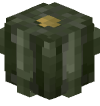 Голова Minecraft — Acorn Squash