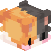 Electrik_Zone