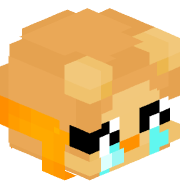 _stusy_