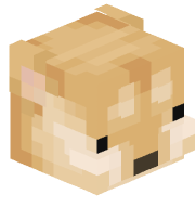 benlikesdogs
