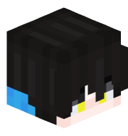 HoustMaster2010