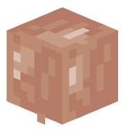ivanxd1234