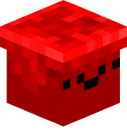 _Neeky