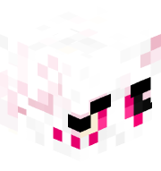 archi3kitty