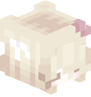 Zedddie