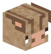 Beedgt5