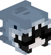 Vigjim