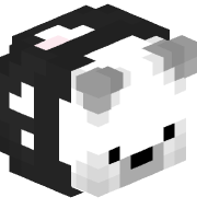 javichapa