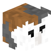 NikolasIsReal