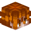 blackShout head