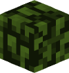 broom