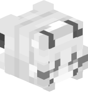 _charta