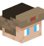 MrArvid100100