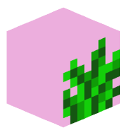 PineapplePink