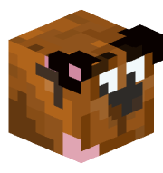 cinothebabo
