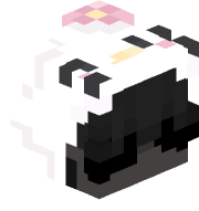 N4te_Devv