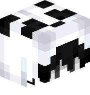 828x