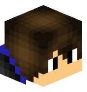 in_Minecraft