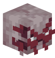XskullXsamXskull