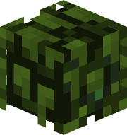 thetrueatsiu