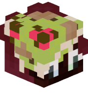 HakeNexion