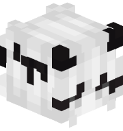 Exi43