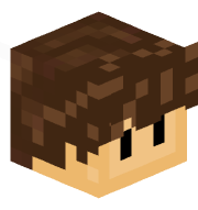 SS1X