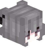 QZIPIN
