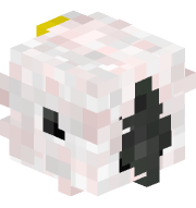 pejnoe
