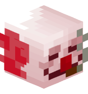 ystkx5