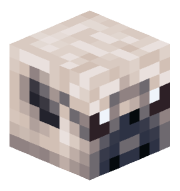 ChaseTHFN
