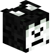 Jamarr_Cat