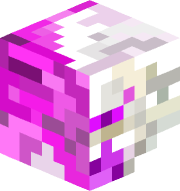 DONI369