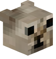 shipterchk