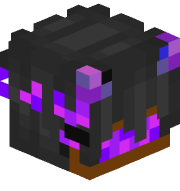 vortexedz