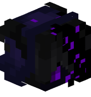 DrewPr02