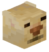 Голова Minecraft — Cat