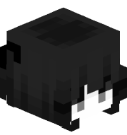 Cnith