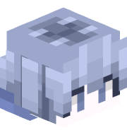 r8aEkq