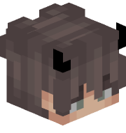 shulker_py
