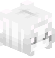 xorvlyn