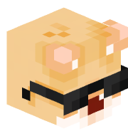 _Wafflqz