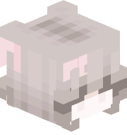 fblixMc