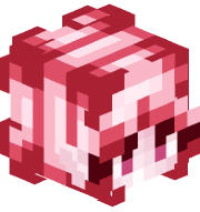 Nikxsyly