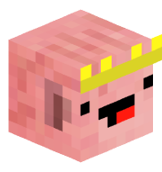 piggiegamer33