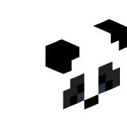xzpider