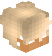 monecraftAiden1