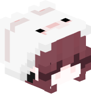 XNVXDZY
