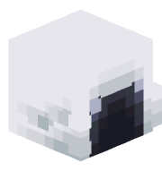 CarbonTortoise